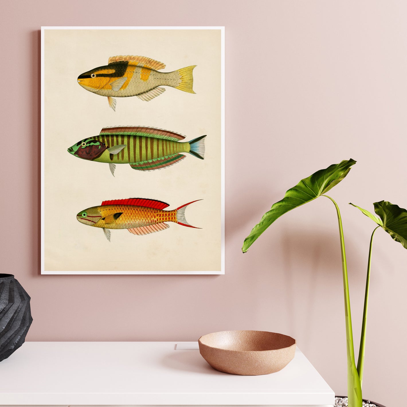 La imagen muestra una composición de láminas decorativas con peces en efecto vintage y papel sepia. Los peces son variados y coloridos, y se presentan en diferentes tamaños y formas. Esta imagen es perfecta para los aficionados a la pesca y la fauna acuá