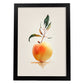 Nacnic Minimalista Albaricoque_2 Lámina