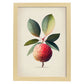 Nacnic minimalist Lychee_3. Aesthetic Wall Art Prints for Bedroom or Living Room Design.-Artwork-Nacnic-A4-Marco Madera Clara-Nacnic Estudio SL