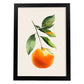 Nacnic Lámina Minimalista de Mandarina