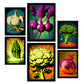 Nacnic Láminas Pop Art de Verduras Set_3