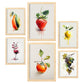 Nacnic Láminas de Frutas Acuarela Set_04