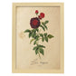 Poster de flores vintage. Lámina Les Roses 2 con diseño vintage.-Artwork-Nacnic-A3-Marco Madera clara-Nacnic Estudio SL