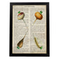 Poster de 4 rabanos. Láminas de frutas y verduras con definiciones. Ilustraciones de alimentacion vegetariana.-Artwork-Nacnic-A3-Marco Negro-Nacnic Estudio SL