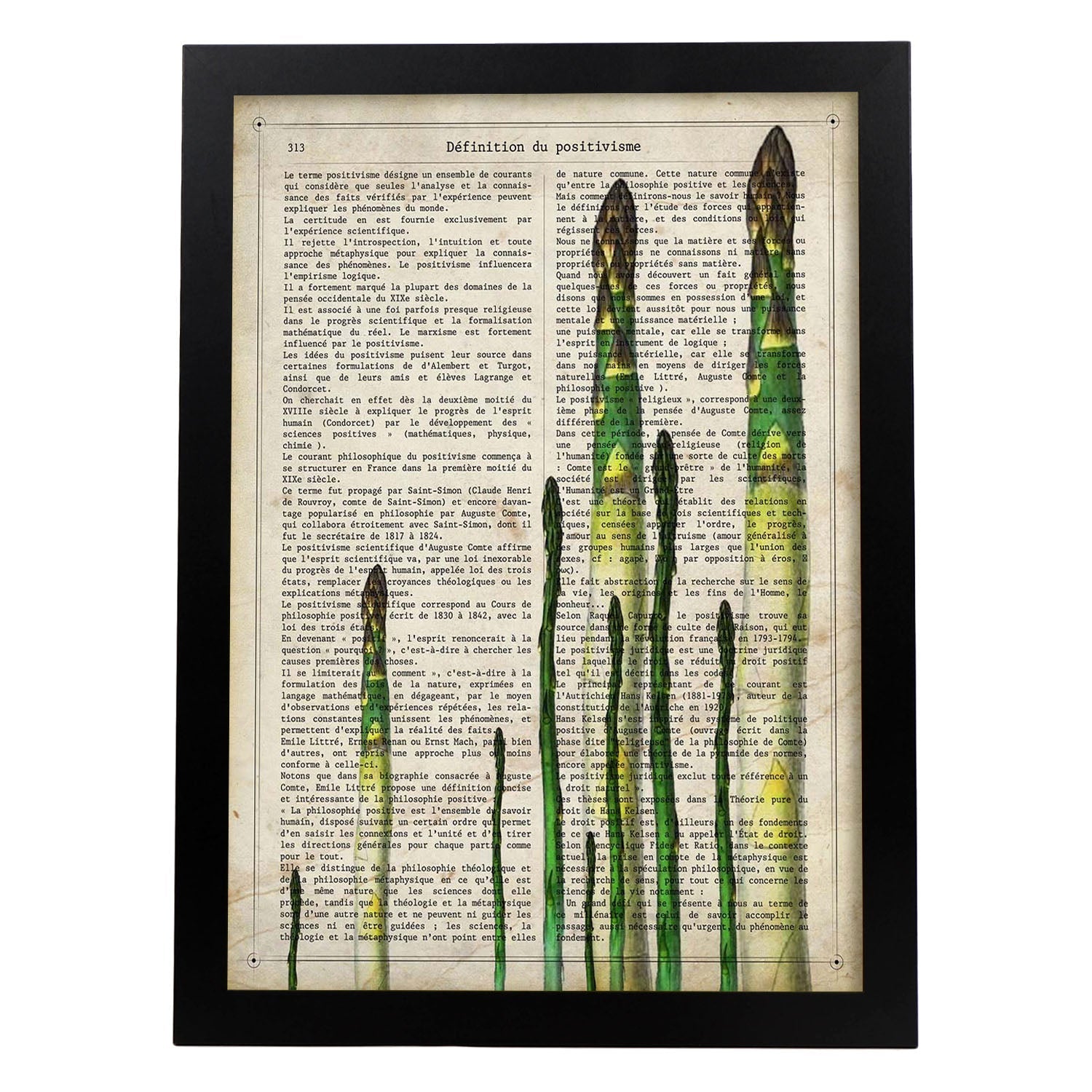 Poster de Esparragos. Láminas de frutas y verduras con definiciones. Ilustraciones de alimentacion vegetariana.-Artwork-Nacnic-A3-Marco Negro-Nacnic Estudio SL