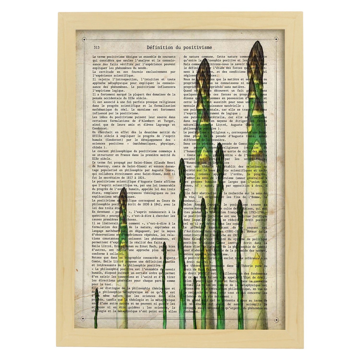 Poster de Esparragos. Láminas de frutas y verduras con definiciones. Ilustraciones de alimentacion vegetariana.-Artwork-Nacnic-A4-Marco Madera clara-Nacnic Estudio SL