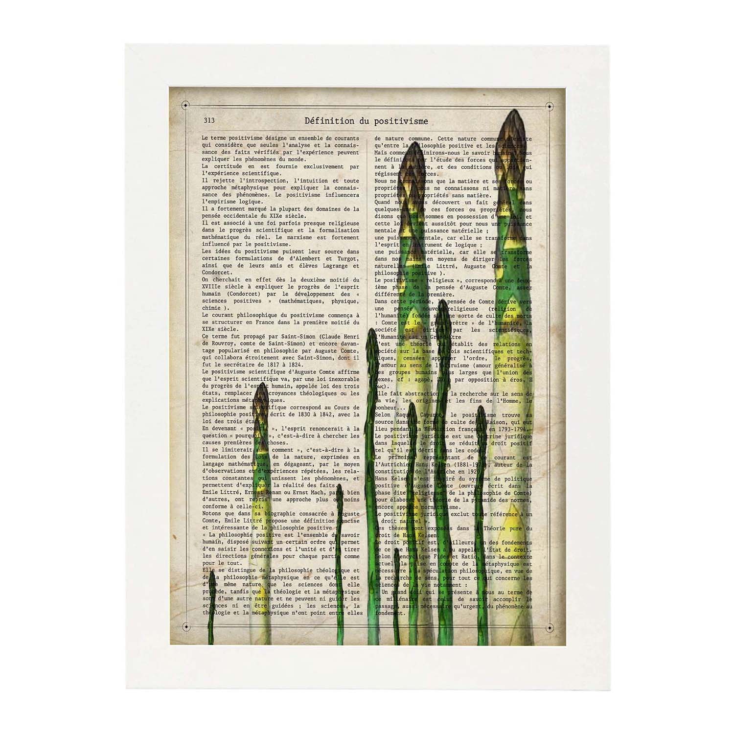 Poster de Esparragos. Láminas de frutas y verduras con definiciones. Ilustraciones de alimentacion vegetariana.-Artwork-Nacnic-A4-Marco Blanco-Nacnic Estudio SL