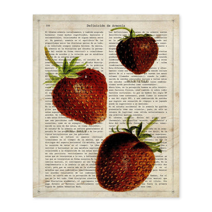 Poster de Fresones. Láminas de frutas y verduras con definiciones. Ilustraciones de alimentacion vegetariana.-Artwork-Nacnic-A4-Sin marco-Nacnic Estudio SL