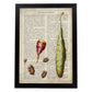 Poster de Patatas. Láminas de frutas y verduras con definiciones. Ilustraciones de alimentacion vegetariana.-Artwork-Nacnic-A3-Marco Negro-Nacnic Estudio SL