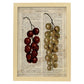 Poster de Uvas. Láminas de frutas y verduras con definiciones. Ilustraciones de alimentacion vegetariana.-Artwork-Nacnic-A3-Marco Madera clara-Nacnic Estudio SL