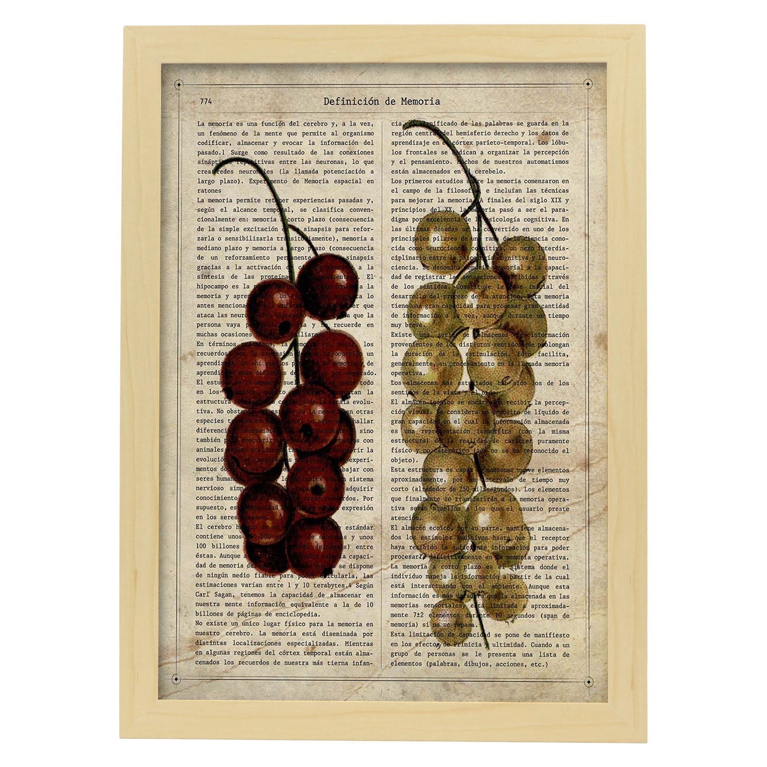 Poster de Uvas. Láminas de frutas y verduras con definiciones. Ilustraciones de alimentacion vegetariana.-Artwork-Nacnic-A3-Marco Madera clara-Nacnic Estudio SL