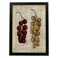 Poster de Uvas. Láminas de frutas y verduras con definiciones. Ilustraciones de alimentacion vegetariana.-Artwork-Nacnic-A4-Marco Negro-Nacnic Estudio SL