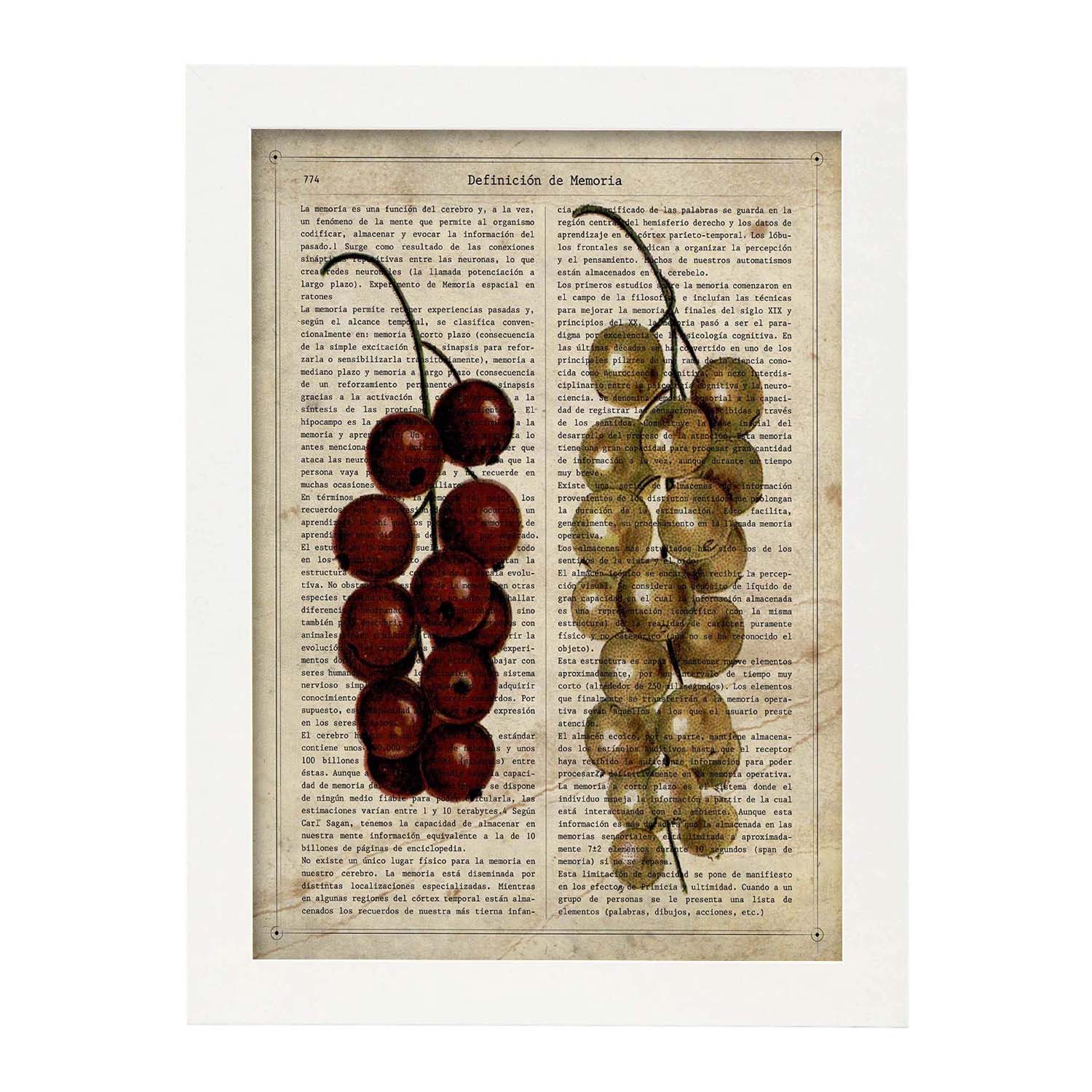 Poster de Uvas. Láminas de frutas y verduras con definiciones. Ilustraciones de alimentacion vegetariana.-Artwork-Nacnic-A4-Marco Blanco-Nacnic Estudio SL