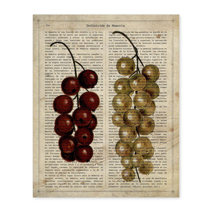 Poster de Uvas. Láminas de frutas y verduras con definiciones. Ilustraciones de alimentacion vegetariana.-Artwork-Nacnic-A4-Sin marco-Nacnic Estudio SL