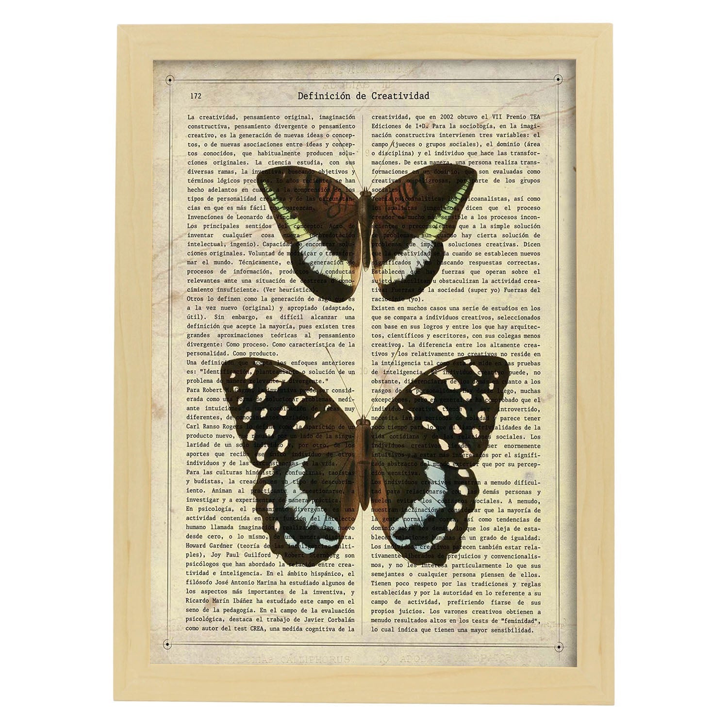 Poster de Mariposa Lexias. Láminas de mariposas. Decoración de mariposas y polillas.-Artwork-Nacnic-A4-Marco Madera clara-Nacnic Estudio SL