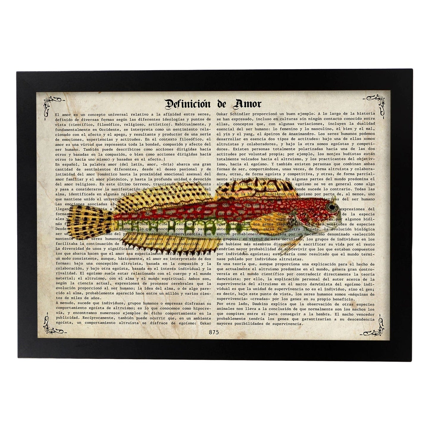 Poster de peces marinos. Lámina de Salarias con definicion. Diseño de peces marinos con definiciones.-Artwork-Nacnic-A4-Marco Negro-Nacnic Estudio SL