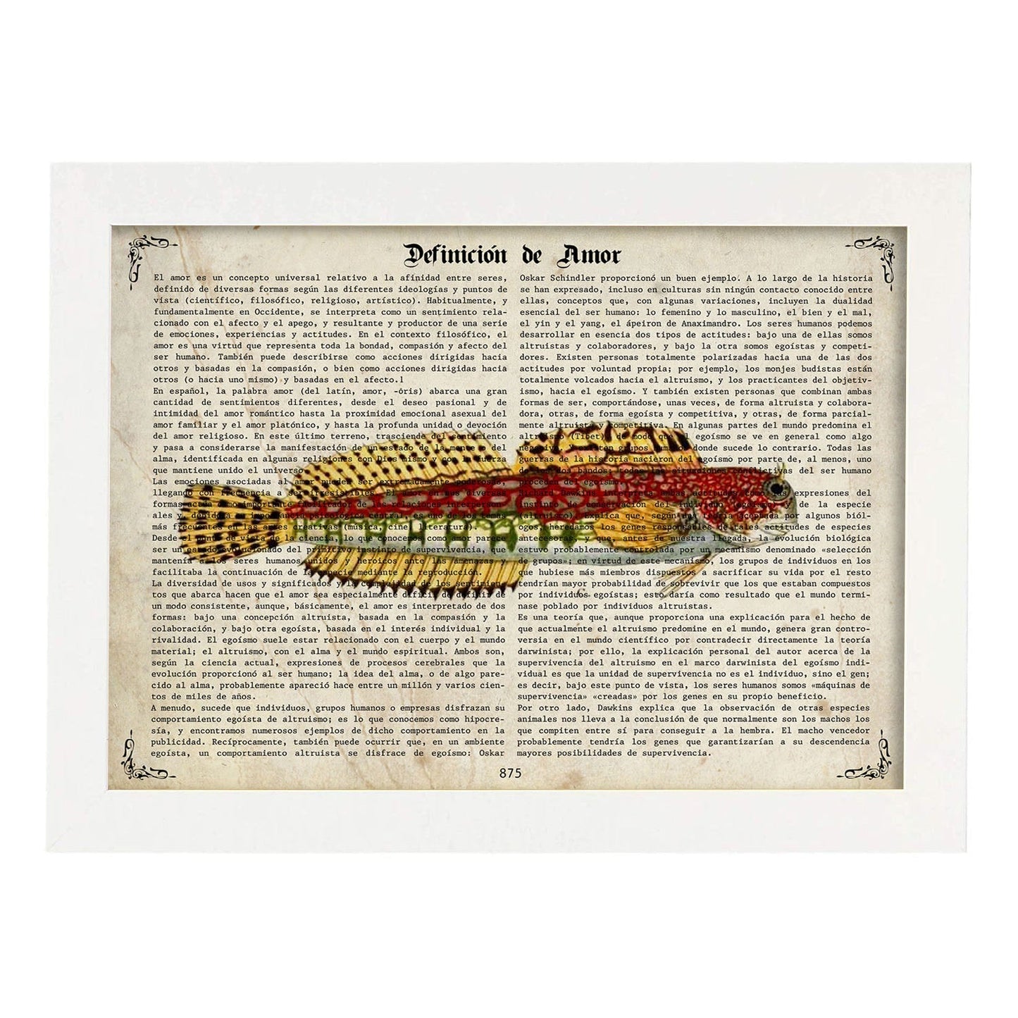 Poster de peces marinos. Lámina de Salarias con definicion. Diseño de peces marinos con definiciones.-Artwork-Nacnic-A4-Marco Blanco-Nacnic Estudio SL