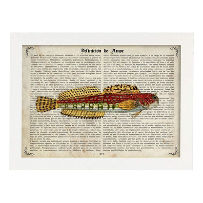 Poster de peces marinos. Lámina de Salarias con definicion. Diseño de peces marinos con definiciones.-Artwork-Nacnic-A4-Marco Blanco-Nacnic Estudio SL