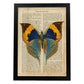 Poster de Mariposa Style con definición. Láminas de animales con texto y definición. Diseño de interiores basado en animales.-Artwork-Nacnic-A3-Marco Negro-Nacnic Estudio SL