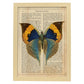 Poster de Mariposa Style con definición. Láminas de animales con texto y definición. Diseño de interiores basado en animales.-Artwork-Nacnic-A3-Marco Madera clara-Nacnic Estudio SL