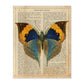 Poster de Mariposa Style con definición. Láminas de animales con texto y definición. Diseño de interiores basado en animales.-Artwork-Nacnic-A4-Sin marco-Nacnic Estudio SL