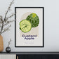 Custard Apple-Artwork-Nacnic-Nacnic Estudio SL