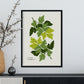 Parsley-Artwork-Nacnic-Nacnic Estudio SL