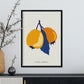 Persimmon-Artwork-Nacnic-Nacnic Estudio SL