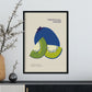Kiwi-Artwork-Nacnic-Nacnic Estudio SL
