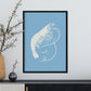 Prawn-Artwork-Nacnic-Nacnic Estudio SL