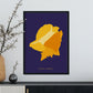 Queen Conch Snail-Artwork-Nacnic-Nacnic Estudio SL