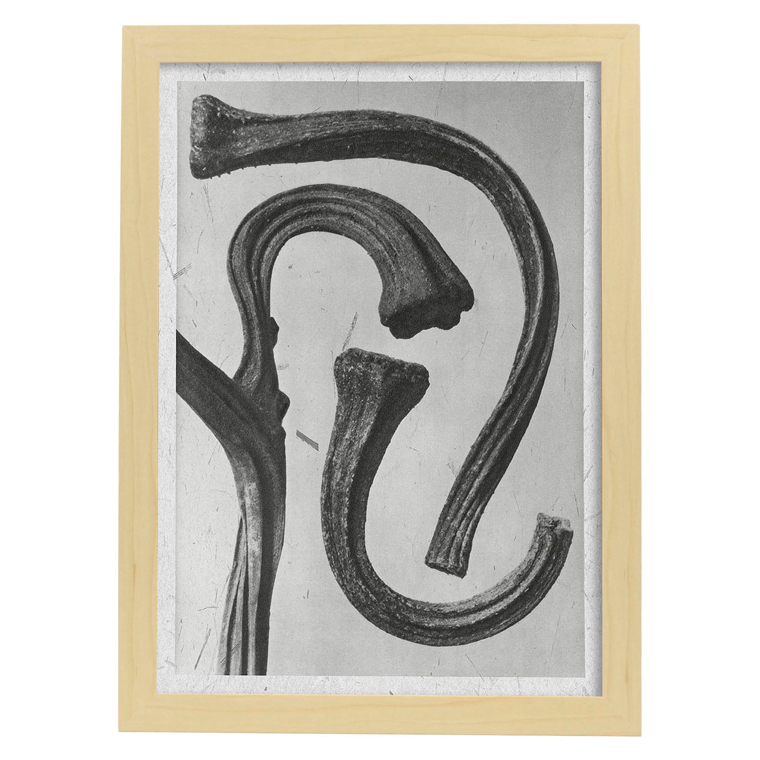 Lámina Planta blanco y negro 32. Pósters con ilustraciones de flores y plantas en tonos grises.-Artwork-Nacnic-A4-Marco Madera clara-Nacnic Estudio SL