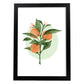 Lámina Botánica acuarela 7. Pósters con ilustraciones de plantas y flores en estilo acuarela.-Artwork-Nacnic-A3-Marco Negro-Nacnic Estudio SL