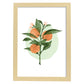 Lámina Botánica acuarela 7. Pósters con ilustraciones de plantas y flores en estilo acuarela.-Artwork-Nacnic-A3-Marco Madera clara-Nacnic Estudio SL