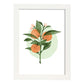 Lámina Botánica acuarela 7. Pósters con ilustraciones de plantas y flores en estilo acuarela.-Artwork-Nacnic-A3-Marco Blanco-Nacnic Estudio SL