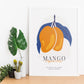 Mango-Artwork-Nacnic-Nacnic Estudio SL