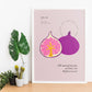 Figs-Artwork-Nacnic-Nacnic Estudio SL