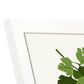 Parsley-Artwork-Nacnic-Nacnic Estudio SL