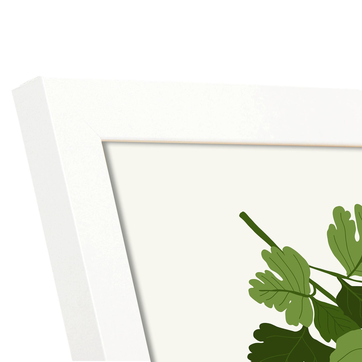 Parsley-Artwork-Nacnic-Nacnic Estudio SL