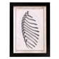 Paillou Ribs-Artwork-Nacnic-A4-Sin marco-Nacnic Estudio SL