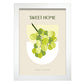 Green Grapes-Artwork-Nacnic-A4-Marco Blanco-Nacnic Estudio SL