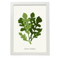 Kale-Artwork-Nacnic-A3-Marco Blanco-Nacnic Estudio SL