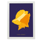 Queen Conch Snail-Artwork-Nacnic-A3-Marco Blanco-Nacnic Estudio SL
