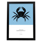 17829-Artwork-Nacnic-A3-Sin marco-Nacnic Estudio SL