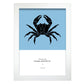 17829-Artwork-Nacnic-A4-Marco Blanco-Nacnic Estudio SL