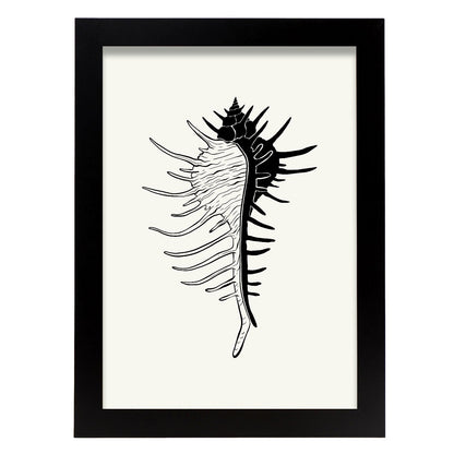 17834-Artwork-Nacnic-A4-Sin marco-Nacnic Estudio SL