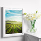 Set de 3 Cuadros de Viñedo Italiano Impresión Ilustración Arte de Pared Decoración en Estilo Fotográfico Moderno para Cocina, Bodega, Bar, Despensa, Comedor, Restaurante