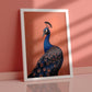 Nacnic Lámina de Pavo Real Deslumbrante