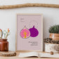 Figs-Artwork-Nacnic-Nacnic Estudio SL