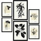 Thick Black Ink Posters. Orchids.-Artwork-Nacnic-Nacnic Estudio SL